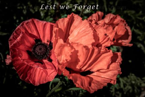 Remembrance Sunday